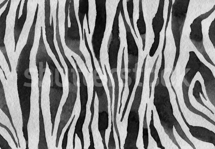Zebra Stripes, Graphite