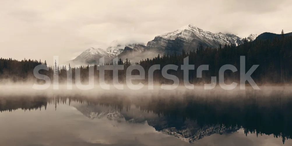 Die Elemente der Natur