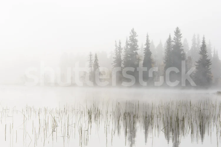 Talviaamu järven rannalla