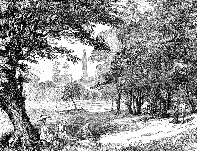 A Walk in the Park