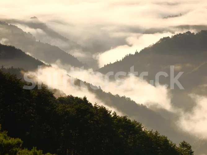 View of the Mountains