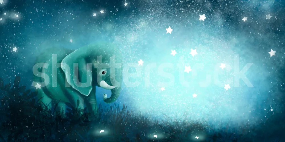 Noites estreladas e sonhos suaves