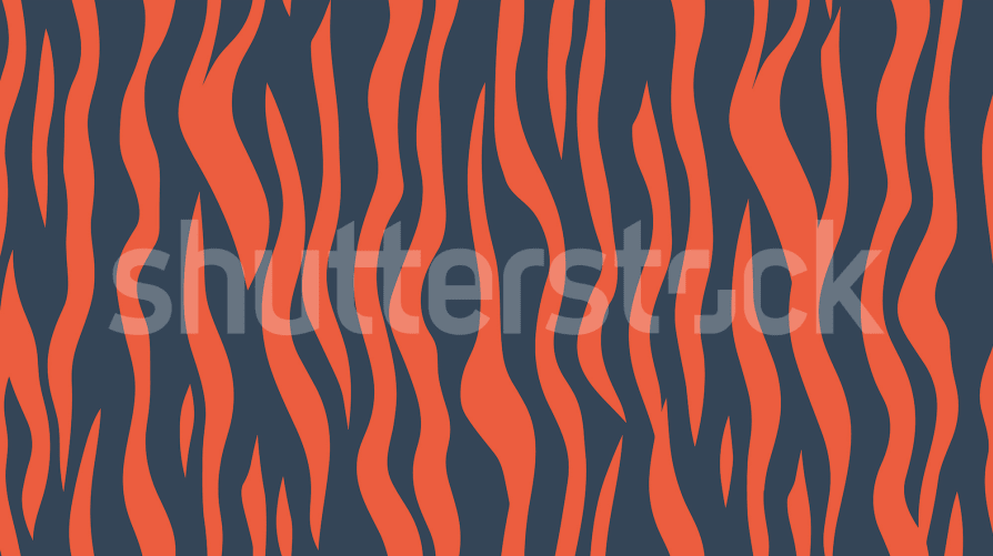 Zebra Fusion Stripes