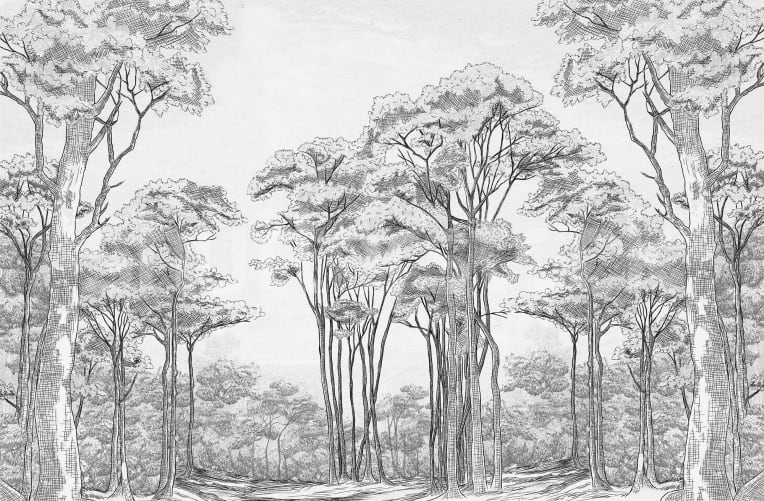 Black White Trees