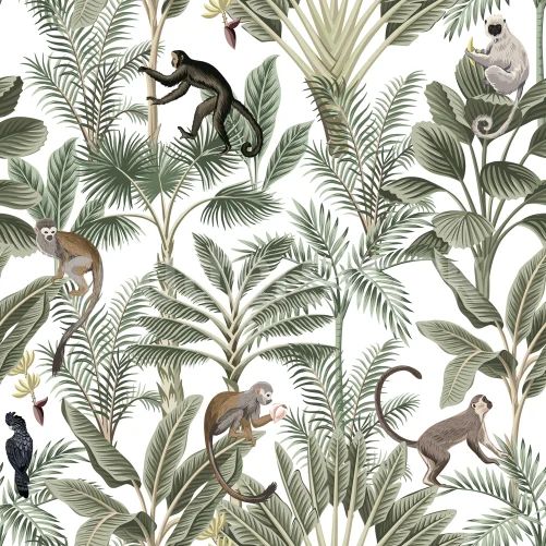 Jungle verte luxuriante