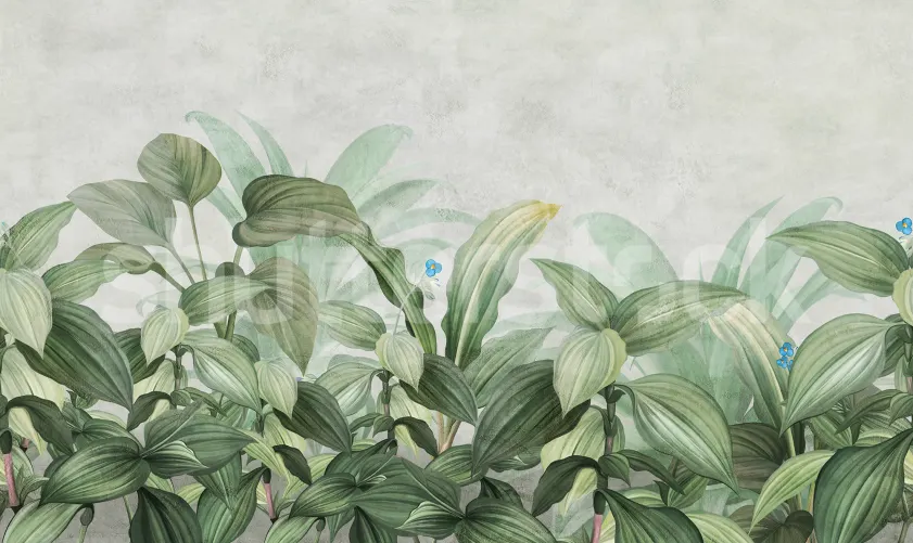 Frodig Hosta Dream