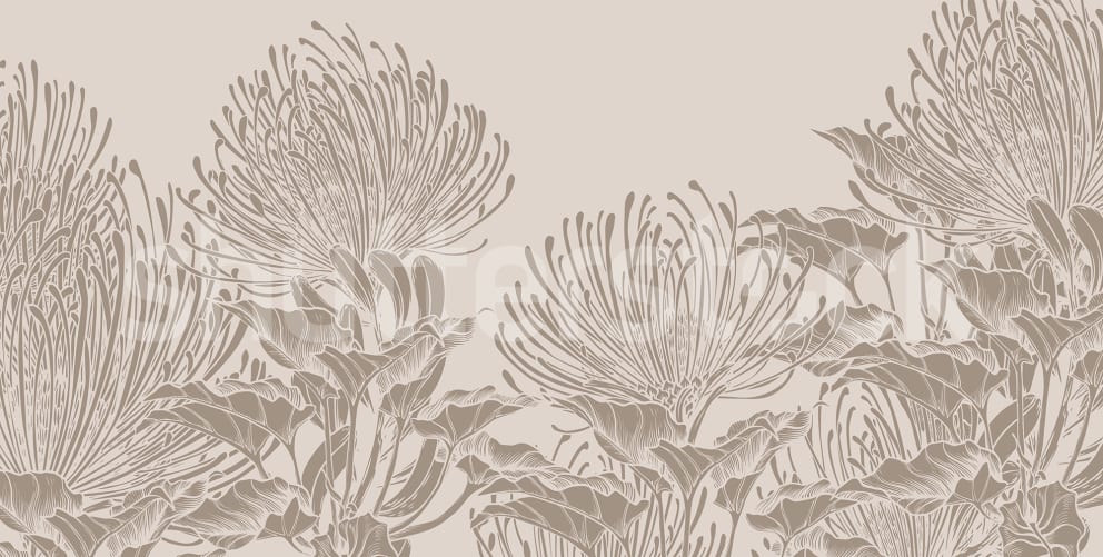 Protea Elegance