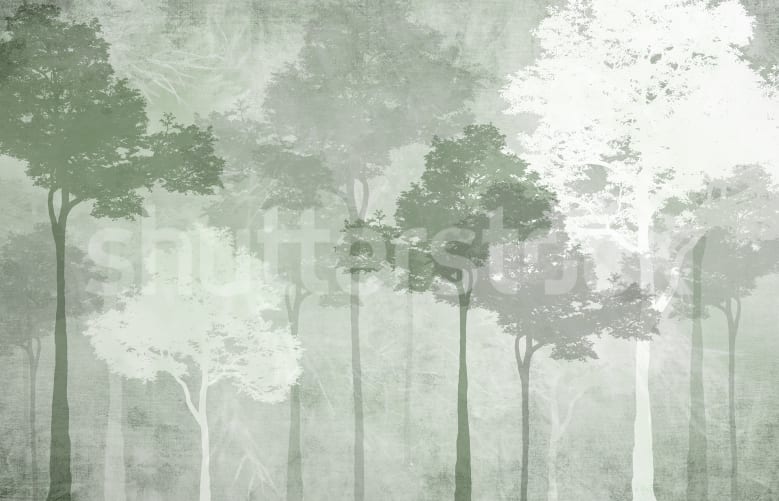 Αγκαλιάστε την ηρεμία των Silent Woods
