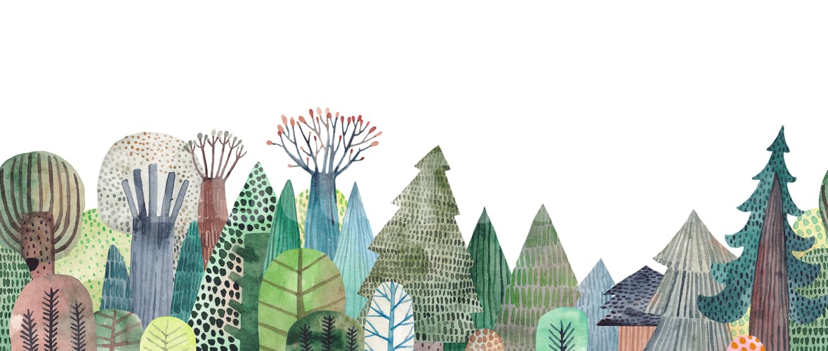 Embrace the Enchanting Forest