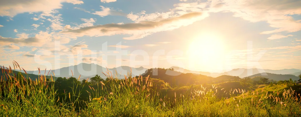 Accueillez une Nouvelle Aube avec Sunrise Hills