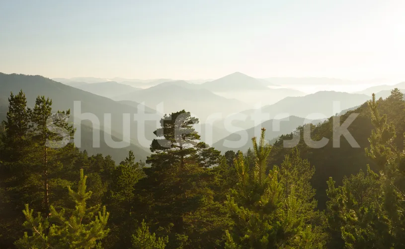 Breathe in the Mountain Air