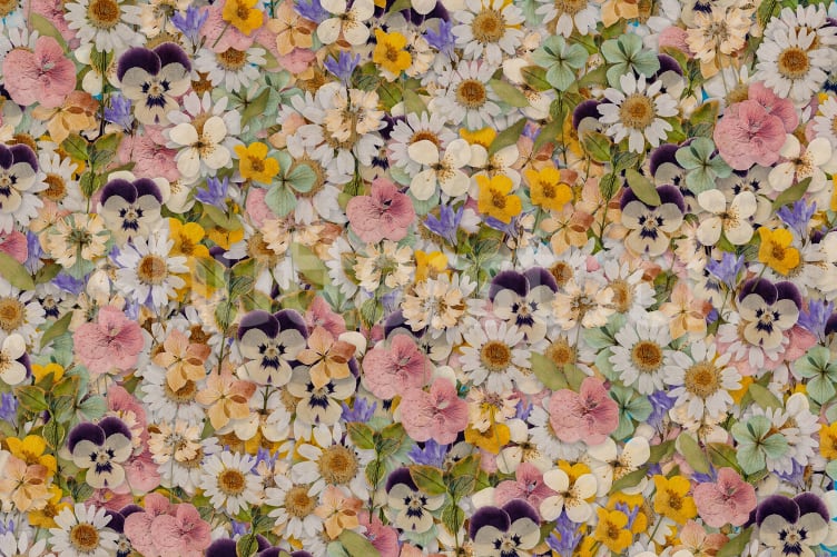 Floral Meadow Elegance