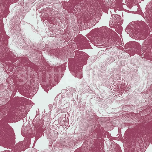 Roses roses vintage