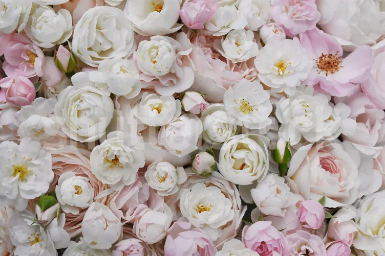 Pink Floral Symphony
