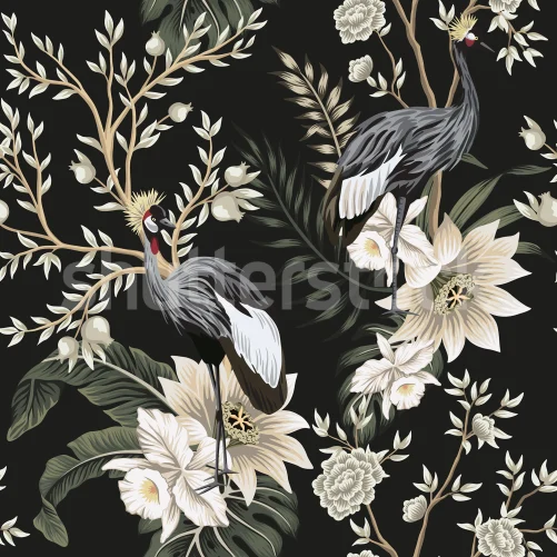 Elegant tranedans