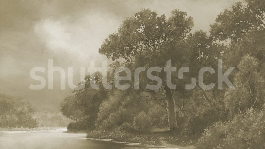 Abbraccia la Serenità della Natura