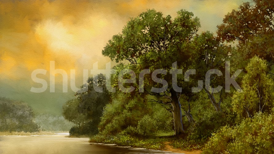 Omarm de Rust van het Bos