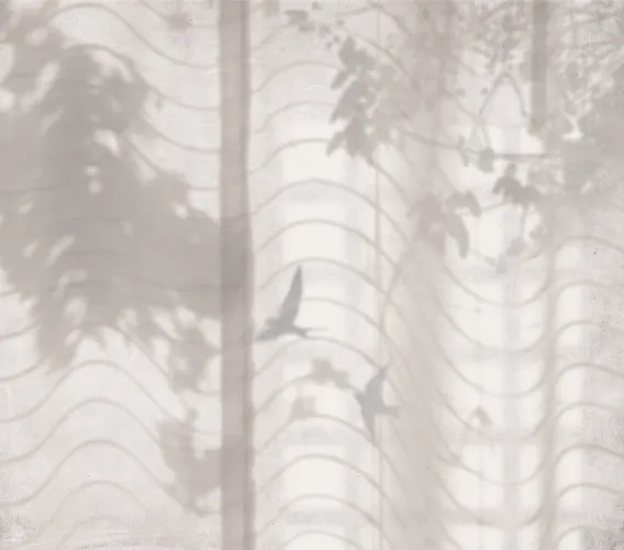 Hortus Umbra