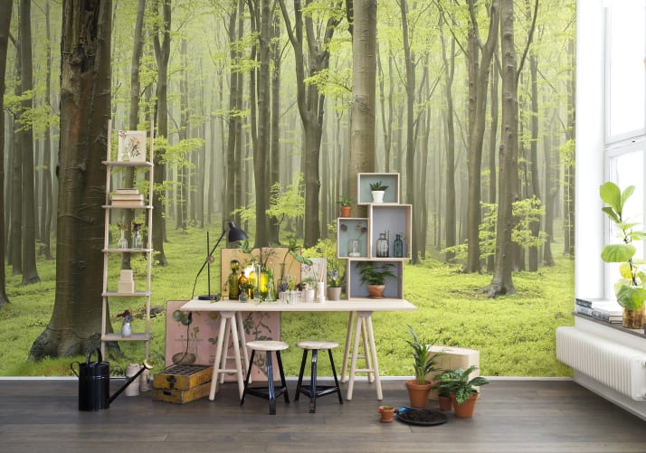 Deciduous Forest