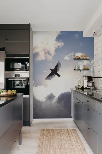 Murale su cielo con uccello in volo