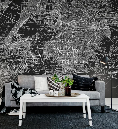 Graphic monochrome map on wall mural