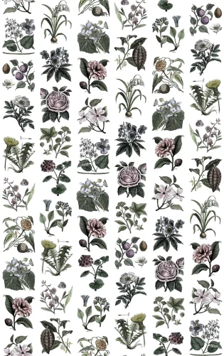 Classic flower wallpaper for the kitchen or hallway