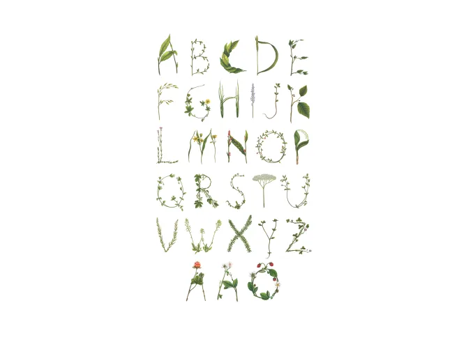 Wallpaper with writing in the form of a leaf alphabet