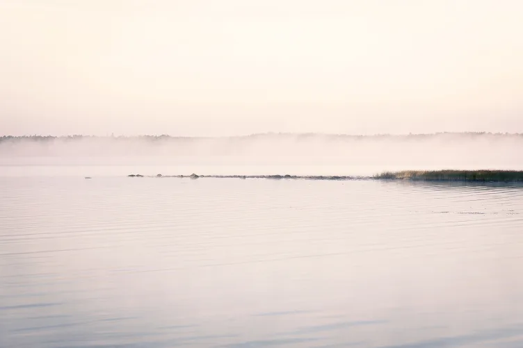 Relax and refresh within this misty mural scene