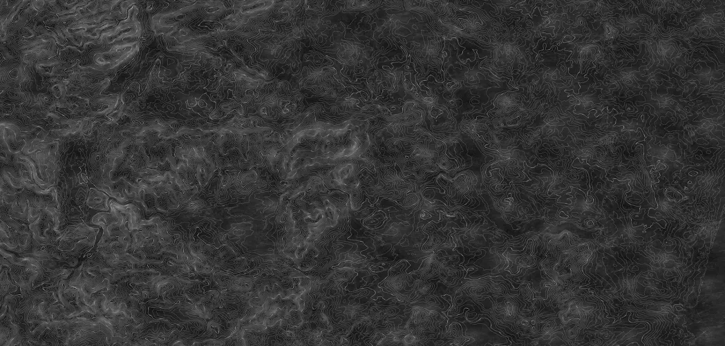 Linien voller Leben