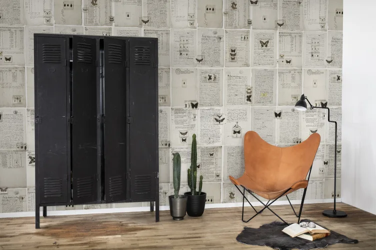 Préservé et conservé pour décorer vos murs
