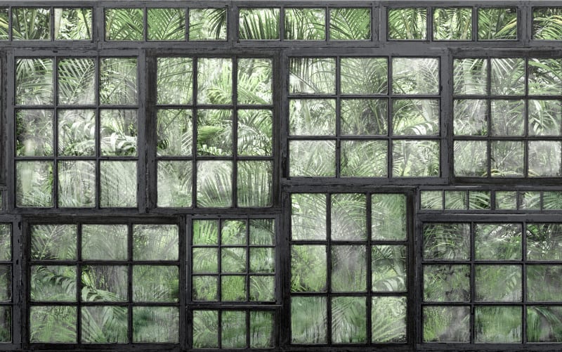 Papier peint jungle industrielle