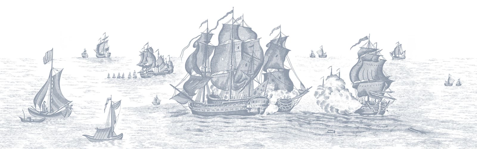 A WALL MURAL SUITABLE FOR A PIRATE
