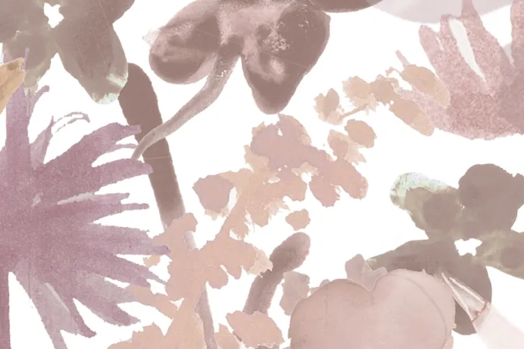 May Meadow, Dusty Pink