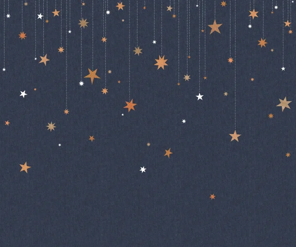 REACH FOR THE STARS