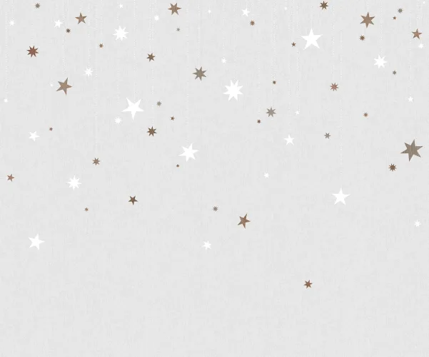 CATCH THE STARS AND PUT THEM ON YOUR WALL