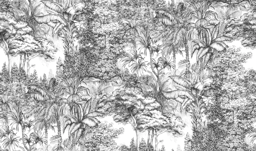 Graphic jungle