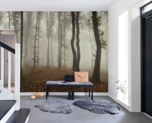 Deep in the forest