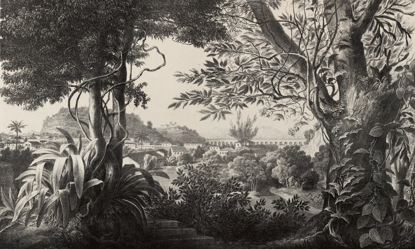 Enter Eden