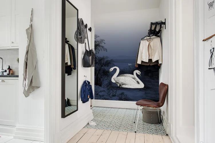 Swans in the midnight blue twilight
