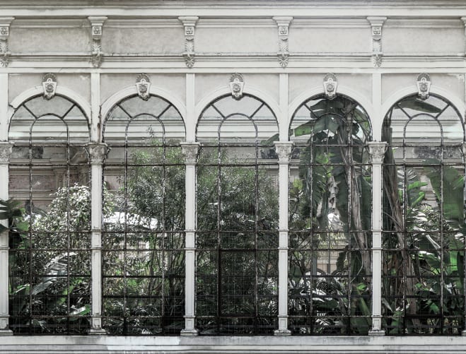 Dove Gardens, White