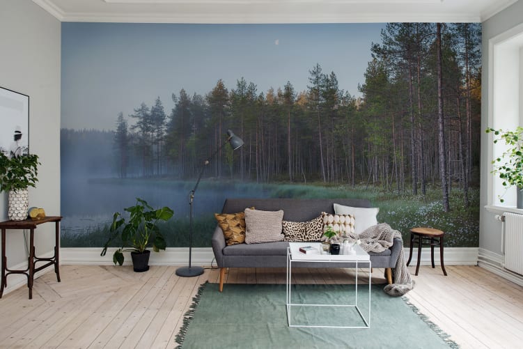 Midnight in Sweden