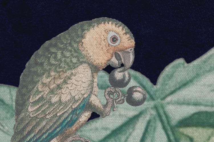 Papier peint animal fantastique