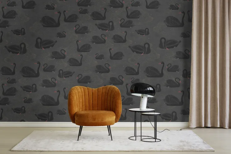 Esperar o inesperado com um papel de parede de cisne negro