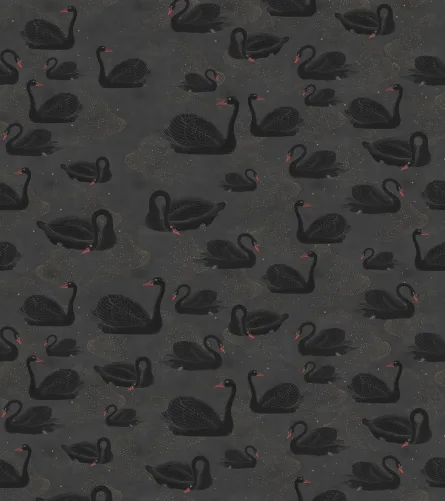 Esperar o inesperado com um papel de parede de cisne negro