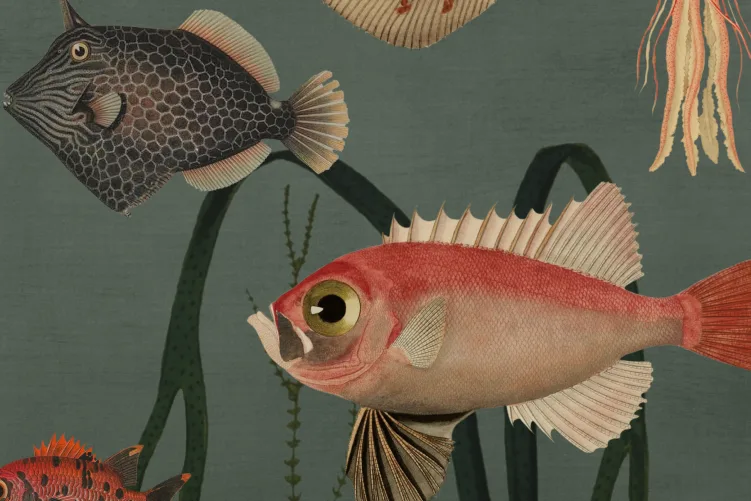 A wall mural of the deep blue sea