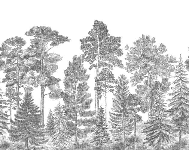 Gray forest wallpaper mural