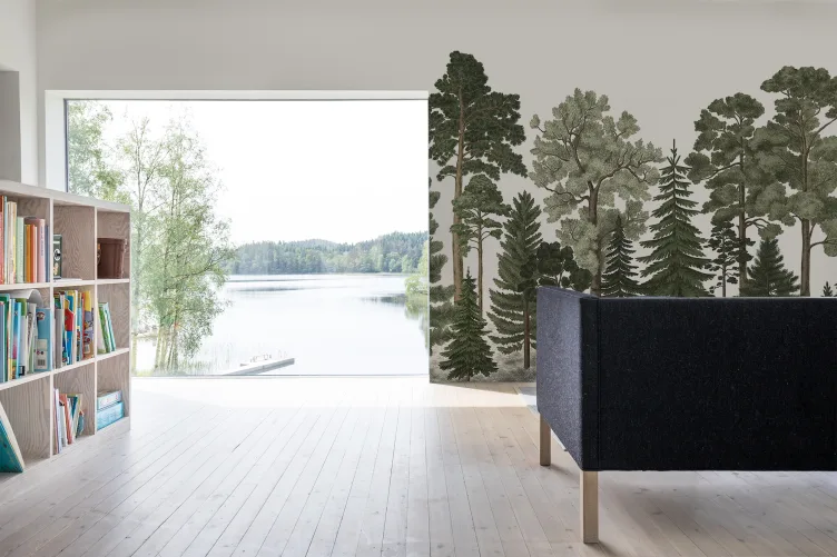 Forest wallpaper with coniferous trees