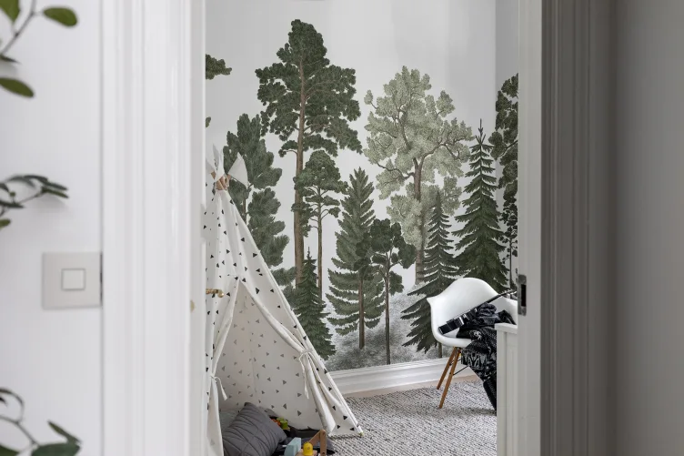 Forest wallpaper with coniferous trees