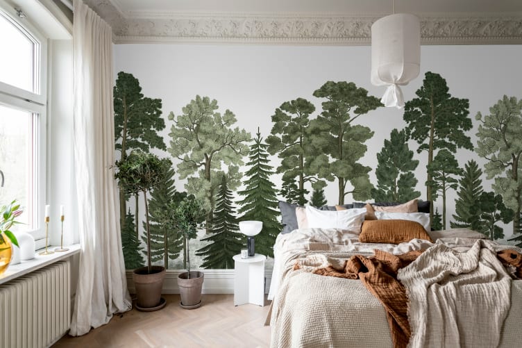 Forest wallpaper with coniferous trees