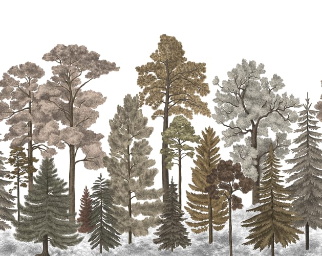 Fall forest wallpaper with warm brown hues